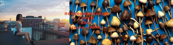 мяу мяу кристалл Дмитровск