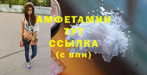 индика Михайловка