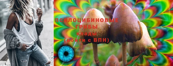гашиш Дмитров