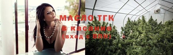 хмурый Дмитриев