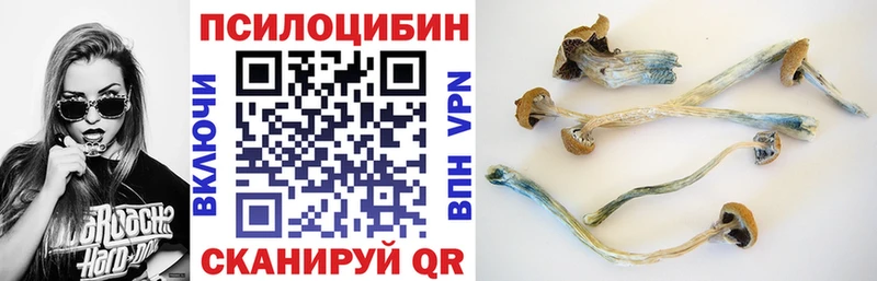 Псилоцибиновые грибы мухоморы  Ермолино 